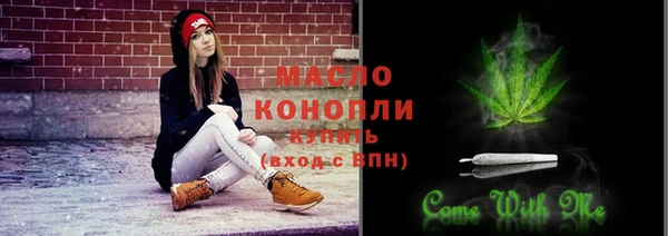 дмт Богданович