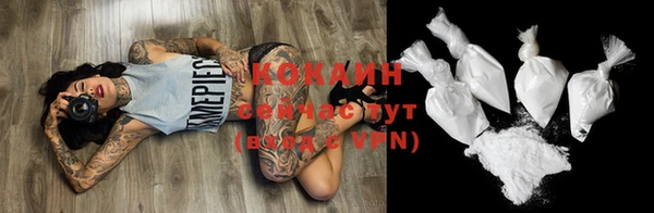 дживик Семилуки