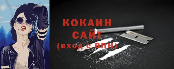 дмт Богданович