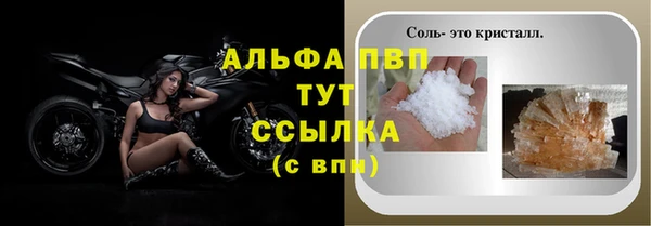 дмт Богданович