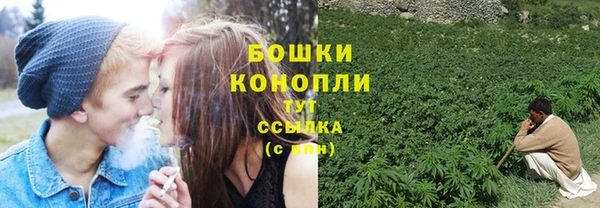 дурь Богородицк