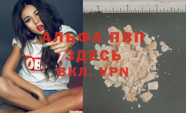 дмт Богданович