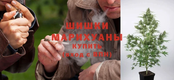 дмт Богданович