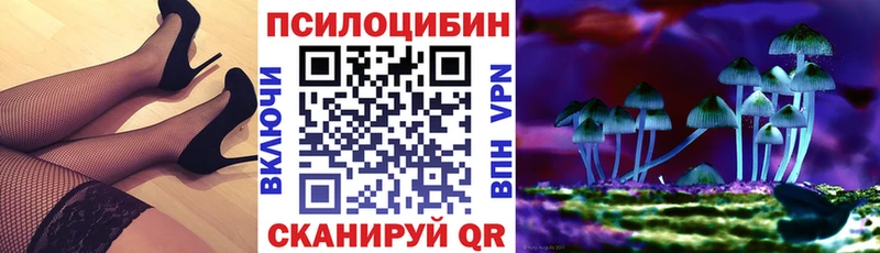 Псилоцибиновые грибы Cubensis Туран