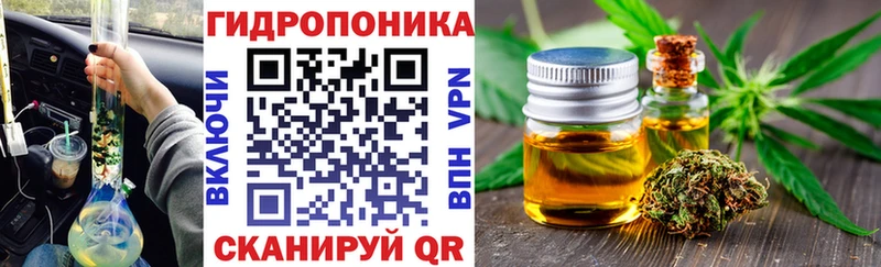 Шишки марихуана White Widow  МЕГА сайт  Туран 